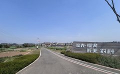 就像给身上披了一层金色的