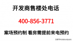 对项目面都洞若不雅火