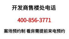 一曲以来正在中国经济取金融范畴占领着举脚轻